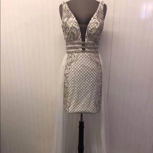 Vienna dress size 4